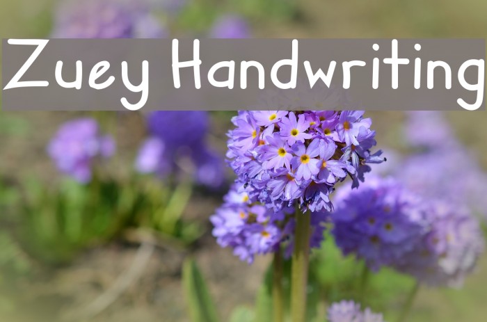 Zuey Handwriting Fonte examples