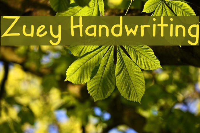 Zuey Handwriting Fonte examples
