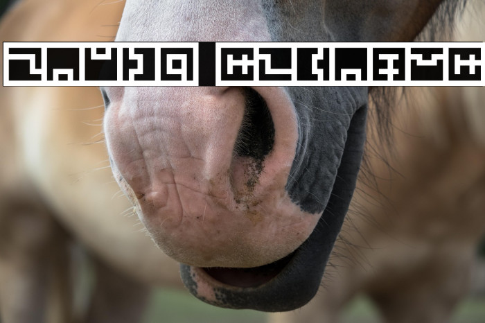 Zuish Regular Example 1