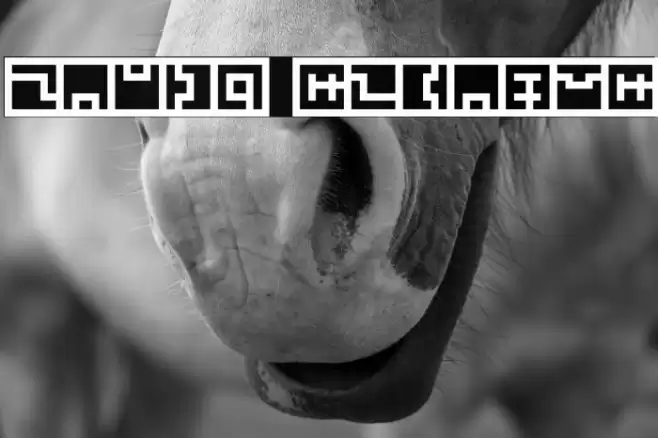 Zuish Regular Font examples