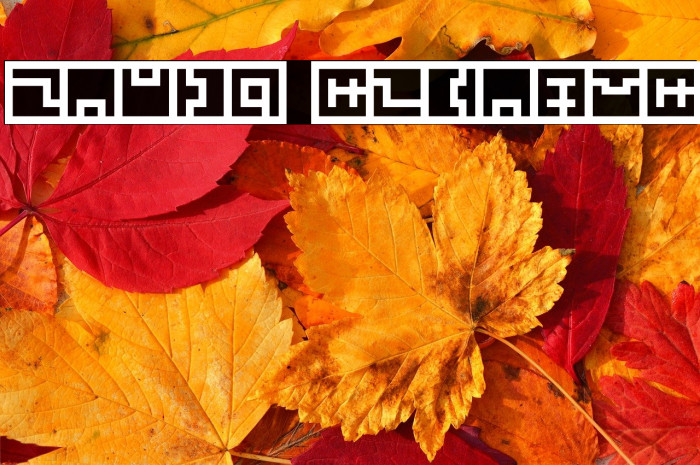 Zuish Regular Example 2