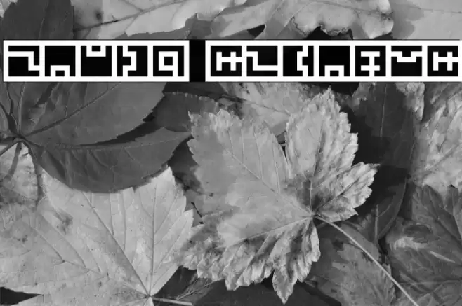 Zuish Regular Font examples