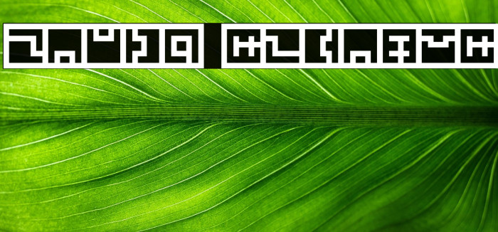 Zuish Regular Example 3