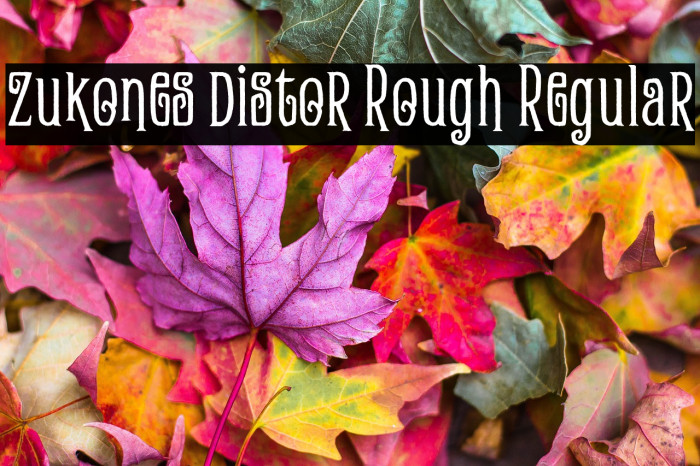 Zukones Distor Rough Regular Example 3