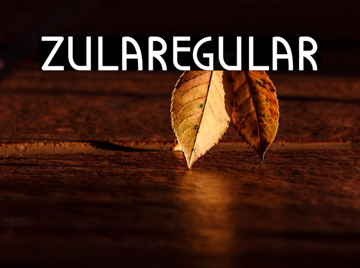 Zula-Regular Example 1