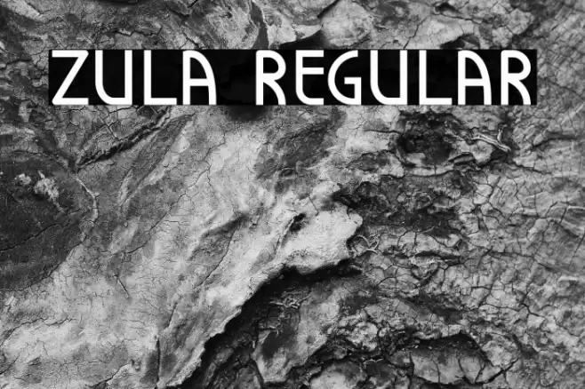 Zula Regular Polices examples