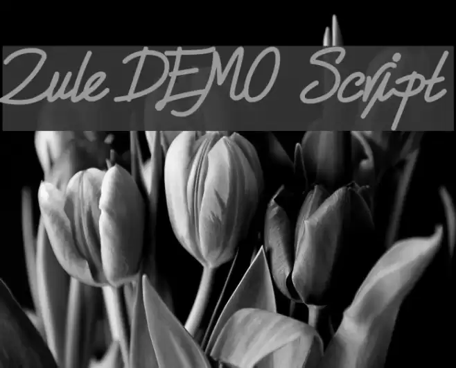 Zule DEMO Script Font examples