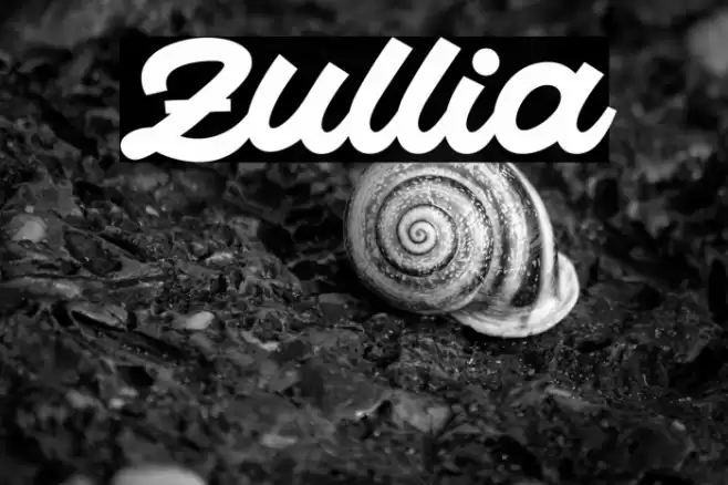 Zullia 字体 examples