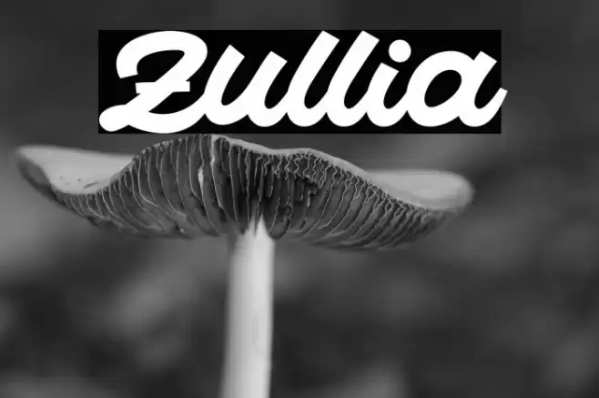 Zullia 字体 examples