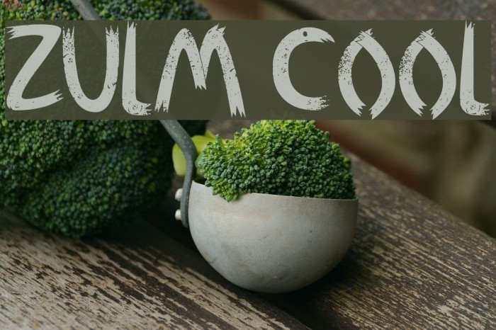 Zulm Cool Font examples