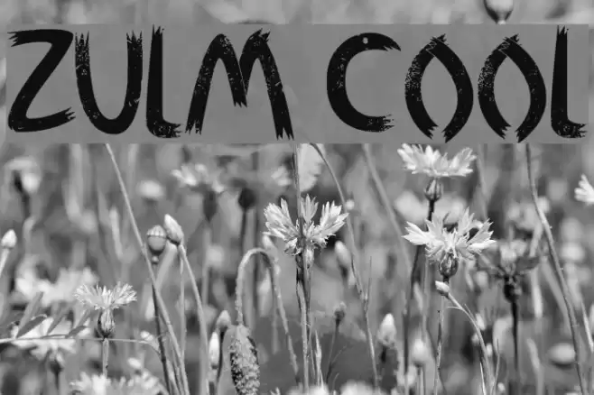 Zulm Cool Font examples