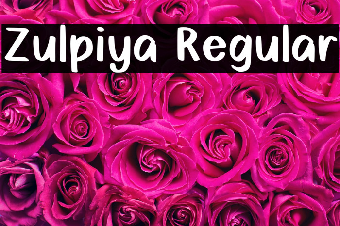 Zulpiya Regular Example 3