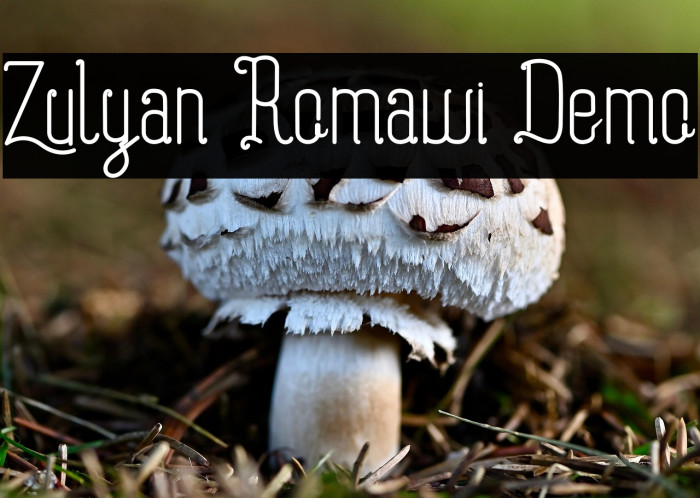 Zulyan Romawi Demo Example 3