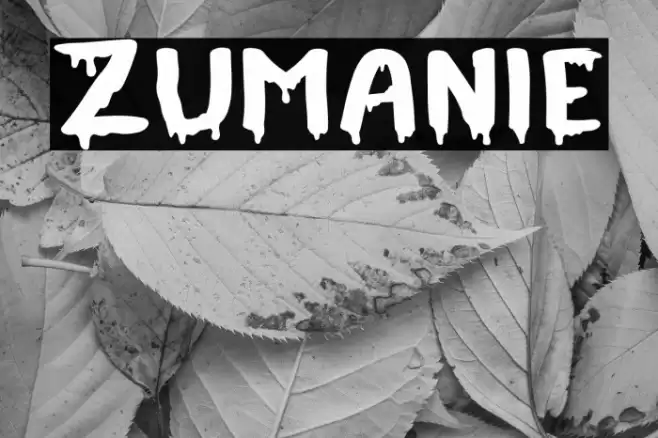 Zumanie Font examples