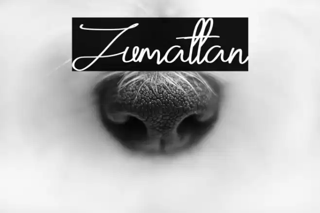Zumattan Font examples