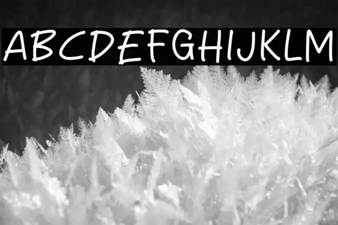 Zumbo City フォント examples