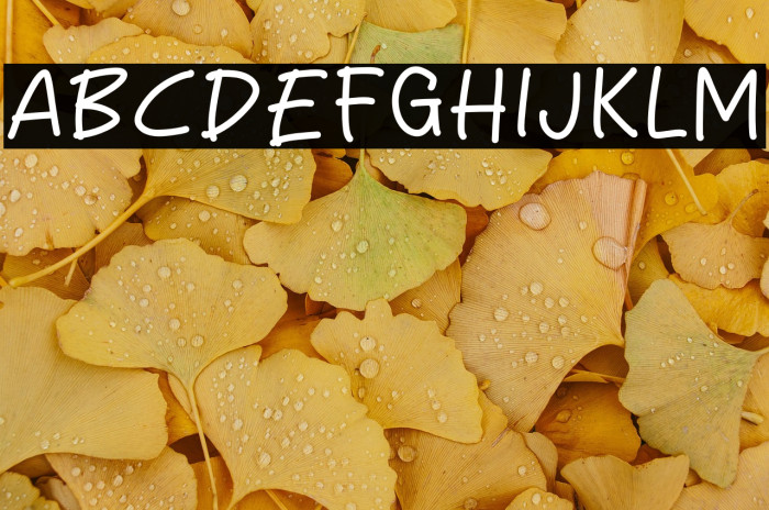 Zumbo City Example 3