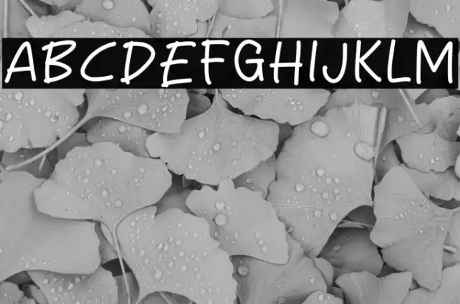 Zumbo City フォント examples