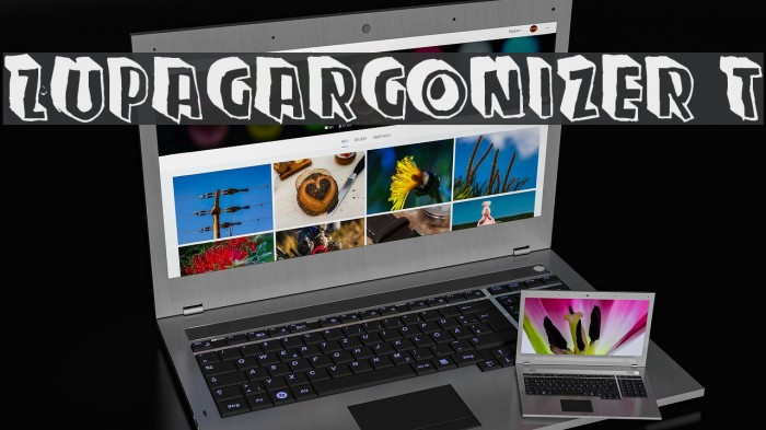 Zupagargonizer T Font examples