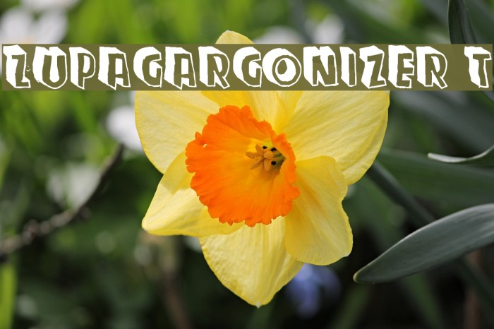 Zupagargonizer T Font examples