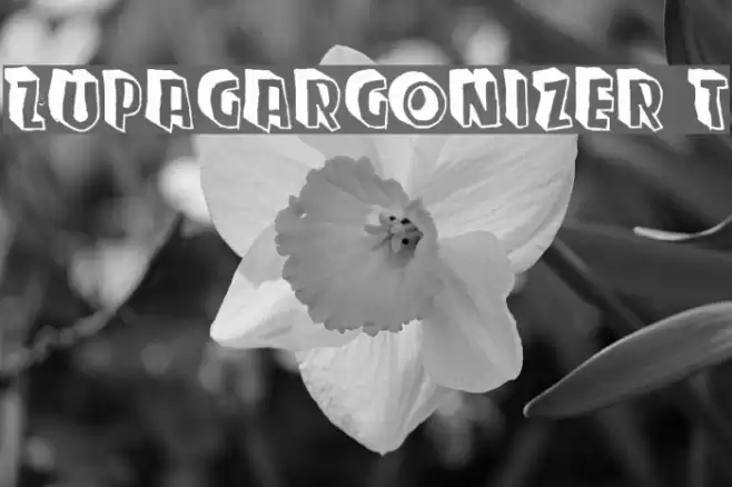 Zupagargonizer T Polices examples