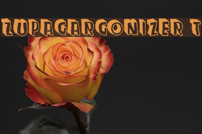 Zupagargonizer T Font examples