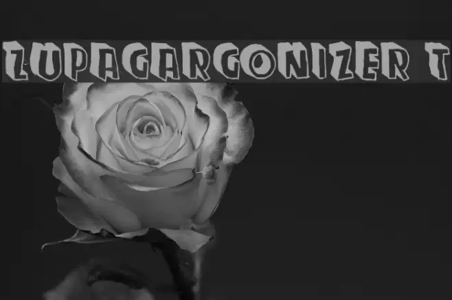 Zupagargonizer T Polices examples