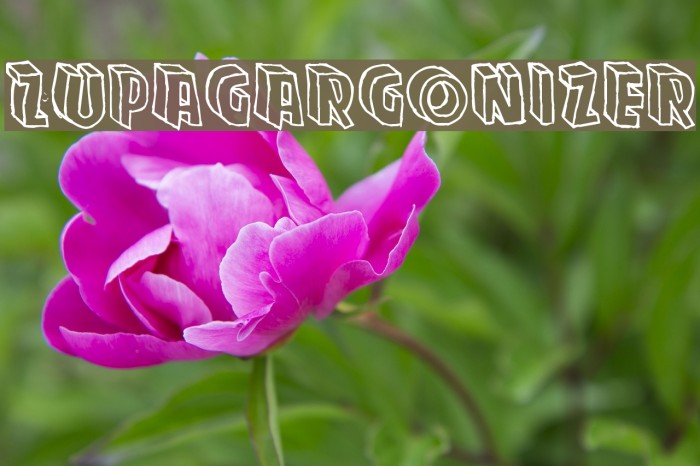 Zupagargonizer Font examples