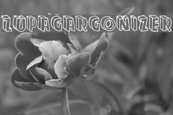 Zupagargonizer Font examples