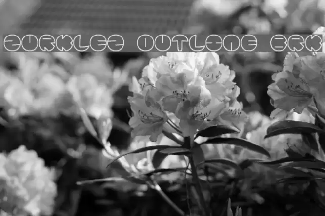 Zurklez Outline BRK フォント examples
