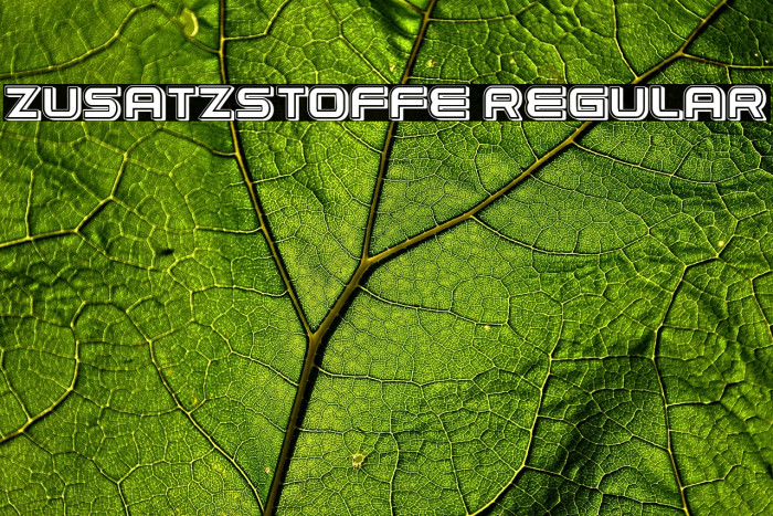 Zusatzstoffe Regular Example 1