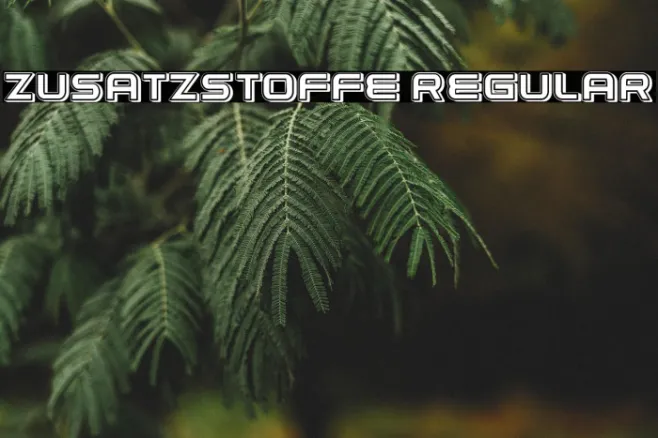 Zusatzstoffe Regular Example 2