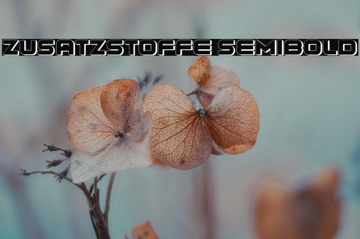Zusatzstoffe SemiBold Example 2