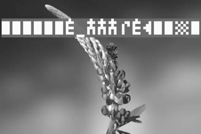 zuptype_ccc Regular Font examples