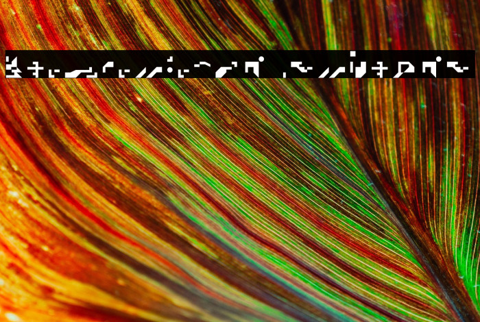 zuptype_pica Regular Example 2