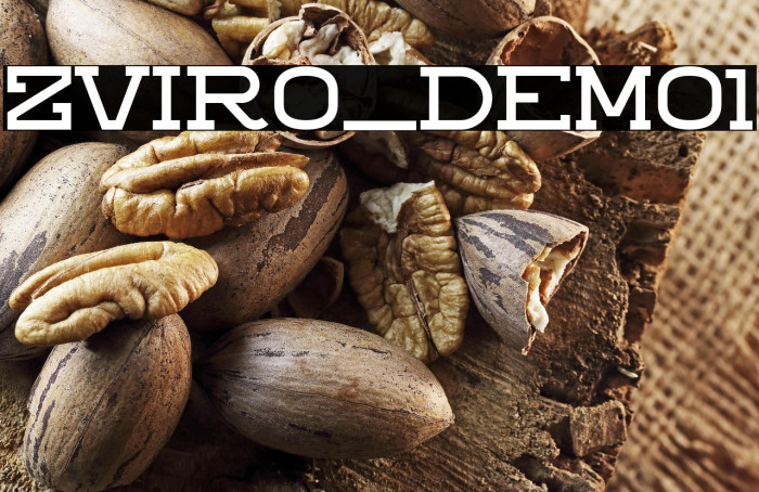 ZVIRO_DEMO1 Example 3