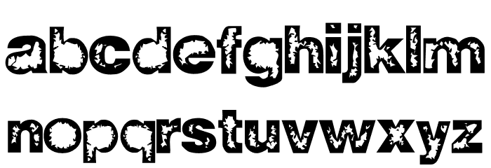 ZWISDOM Font LOWERCASE