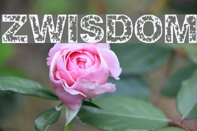 ZWISDOM Example 2