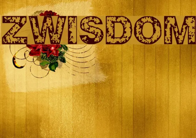 ZWISDOM Example 3
