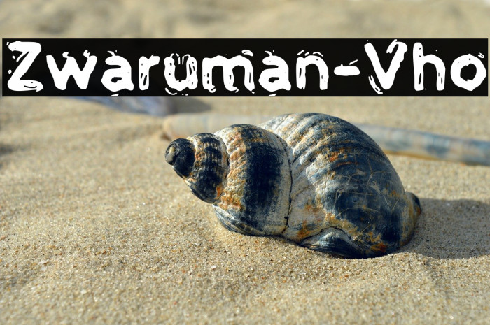 Zwaruman-Vho Example 3