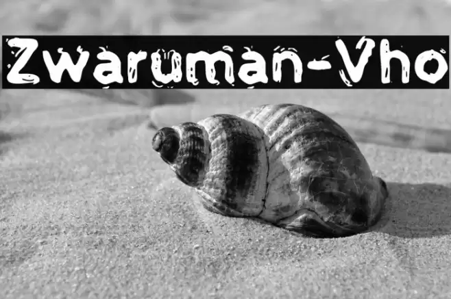 Zwaruman-Vho Font examples