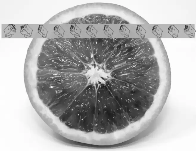 Zwiebelfisch Font examples