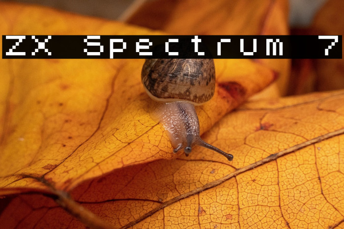 ZX Spectrum 7 Example 3