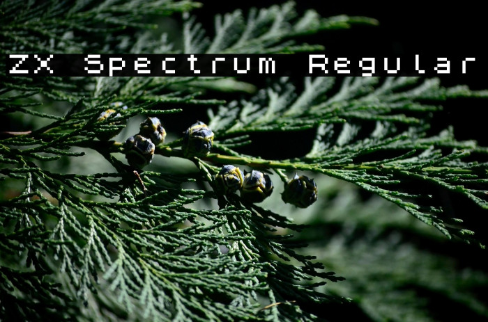 ZX Spectrum Regular Example 2