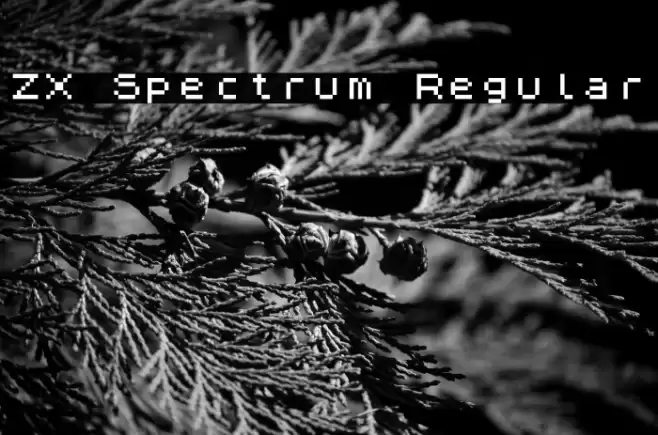 ZX Spectrum Regular Font examples