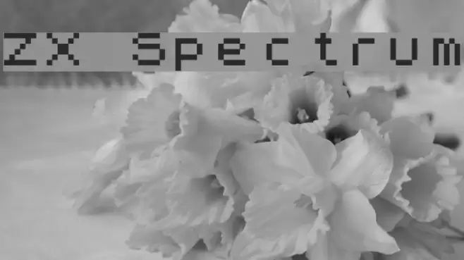 ZX Spectrum Font examples