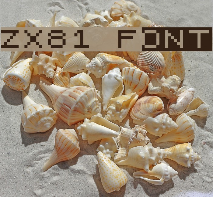ZX81 Font examples