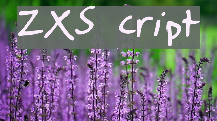 ZXScript Font examples