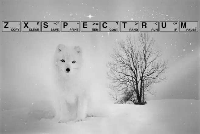 ZXSpectrum خط examples