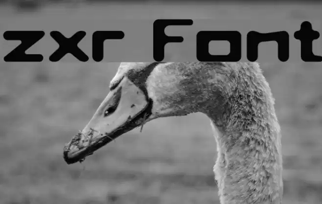zxr Font examples